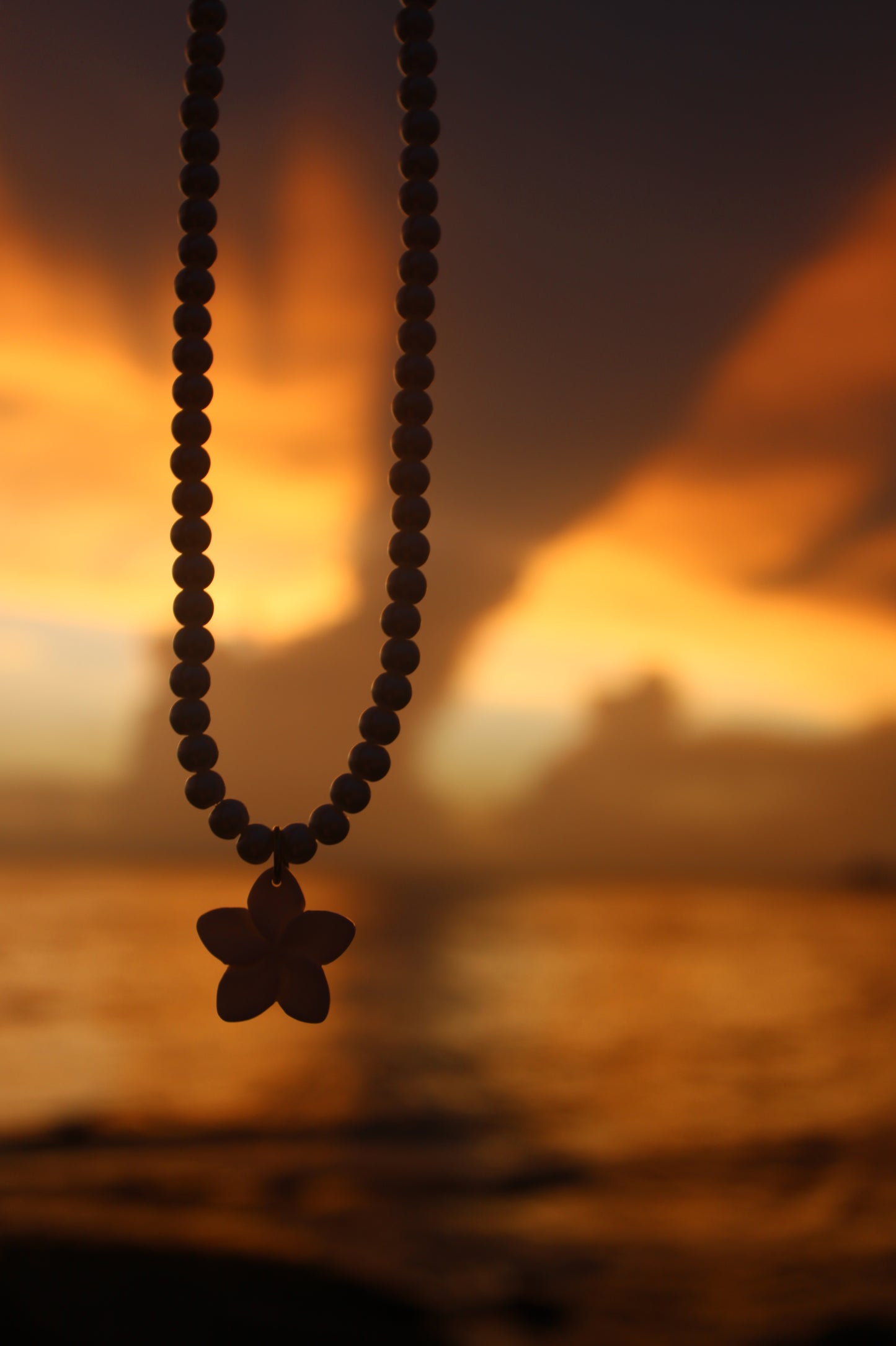 Locals Only Necklace